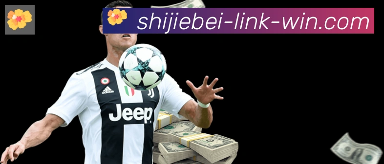 世界杯买球入口服务体系
