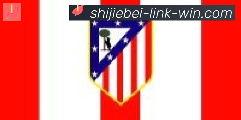 世界杯买球入口合作伙伴